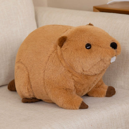 BowLift | Billy & Willy the Fluffy Brown Beaver Plushie