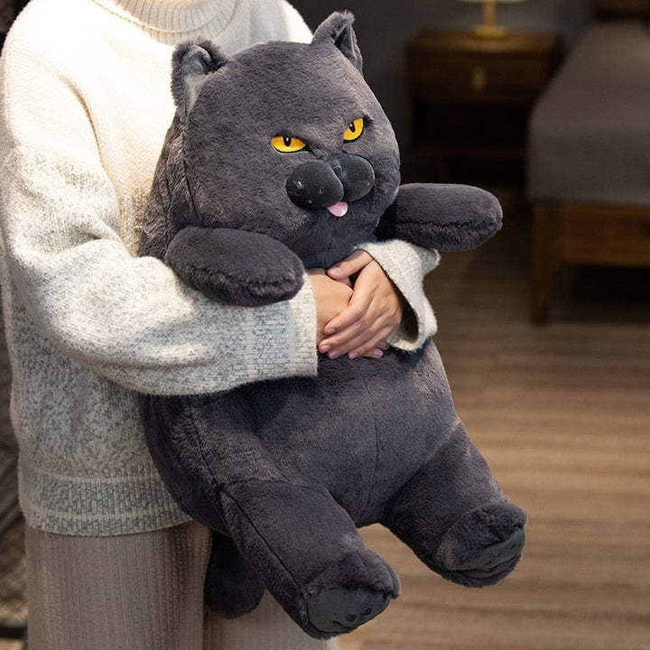 Kalsten | Poe the Grumpy Cat Plushie
