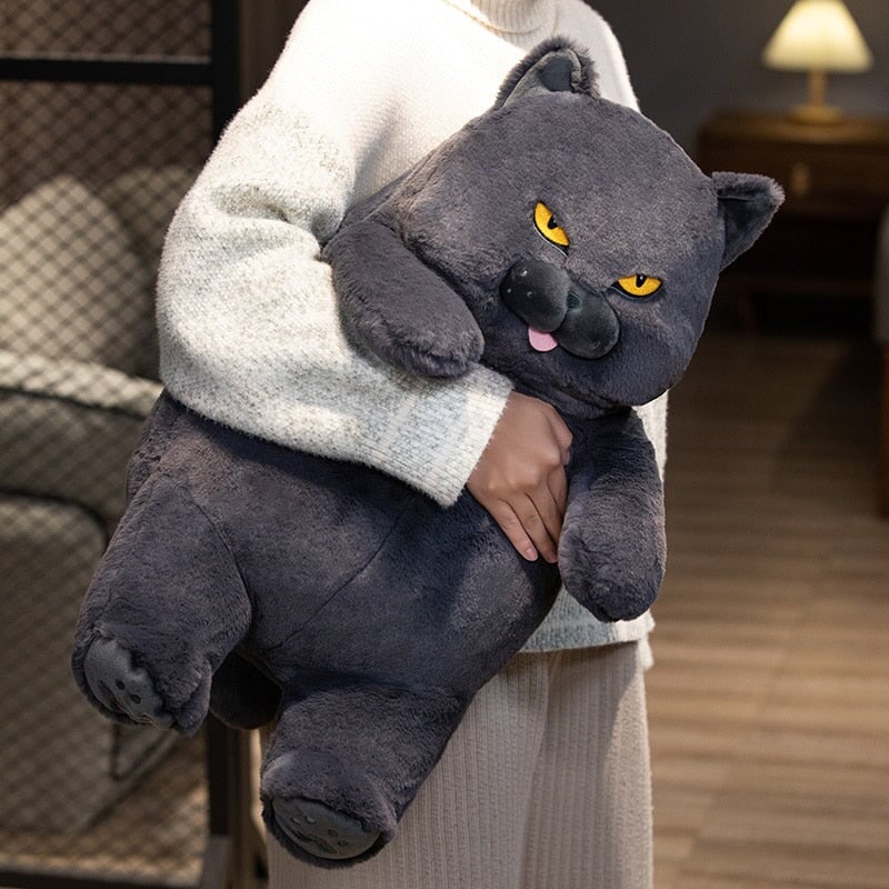 Kalsten | Poe the Grumpy Cat Plushie