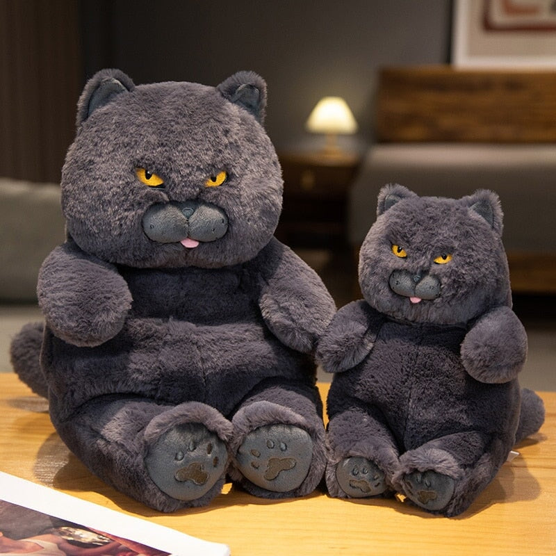 Kalsten | Poe the Grumpy Cat Plushie