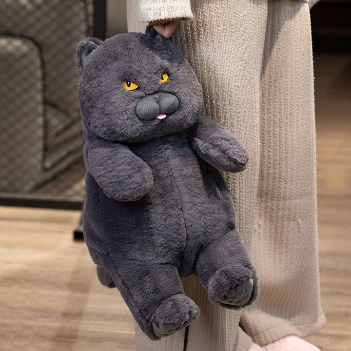 Kalsten | Poe the Grumpy Cat Plushie