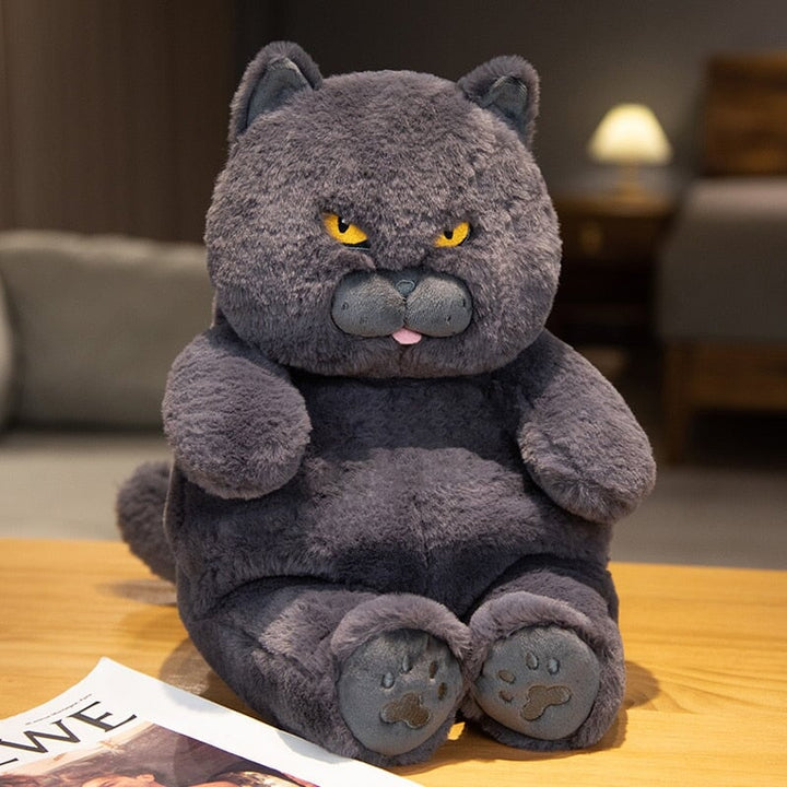 Kalsten | Poe the Grumpy Cat Plushie