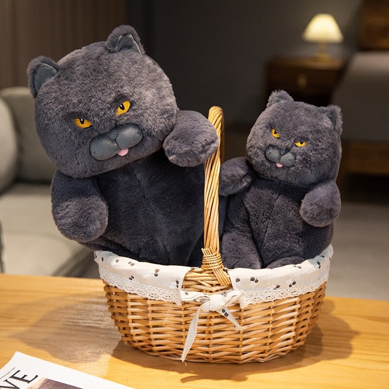 Kalsten | Poe the Grumpy Cat Plushie