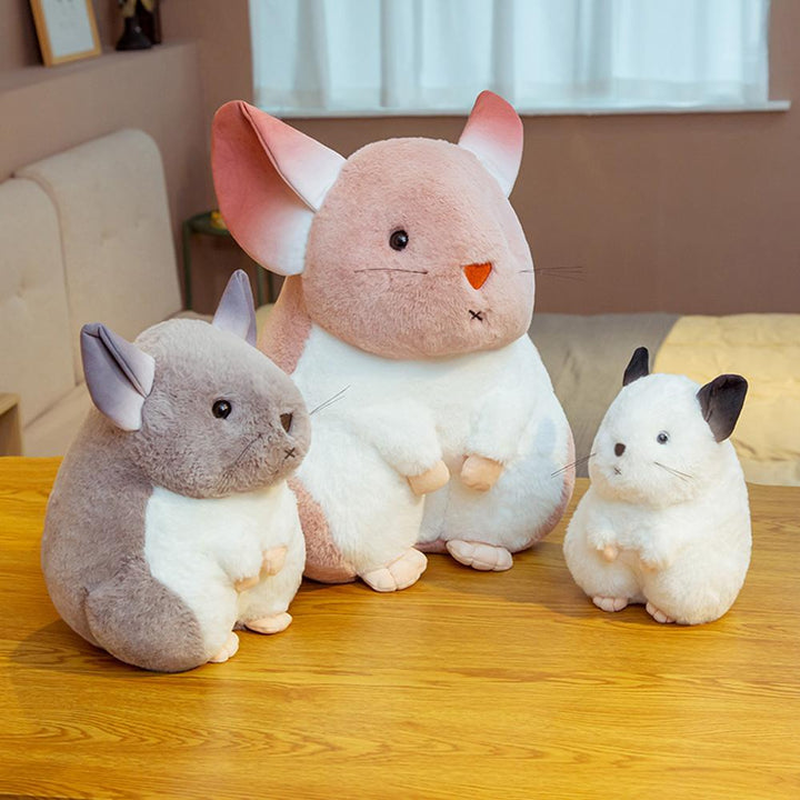 Kalsten | Whispering Chinchillas