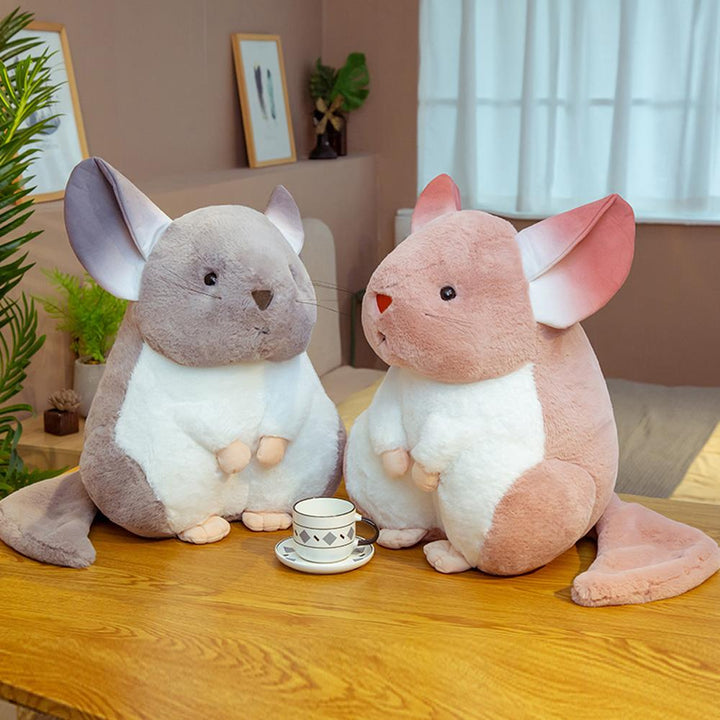 Kalsten | Whispering Chinchillas