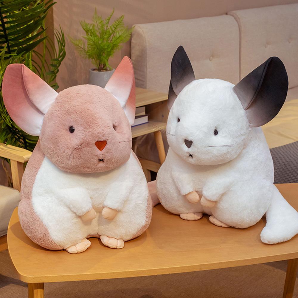Kalsten | Whispering Chinchillas