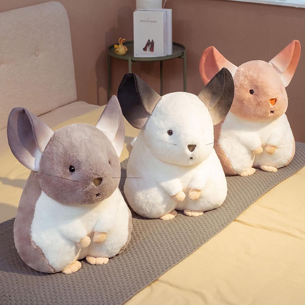 Kalsten | Whispering Chinchillas