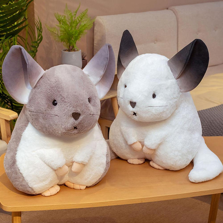 Kalsten | Whispering Chinchillas