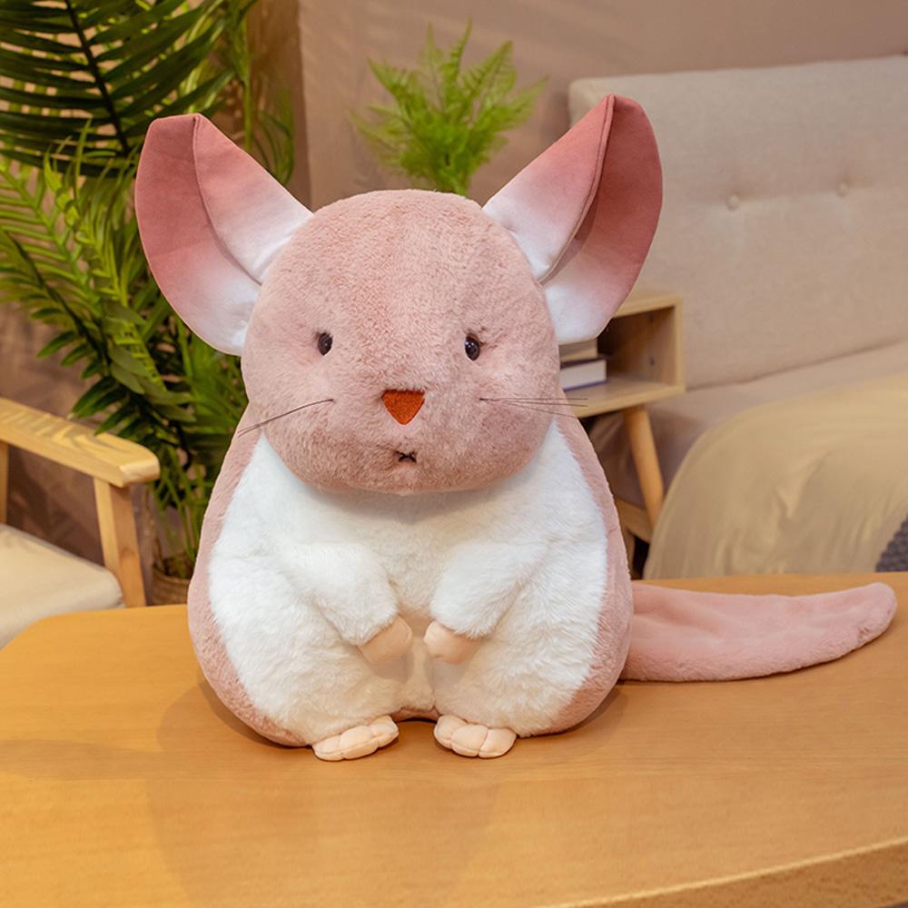Kalsten | Whispering Chinchillas