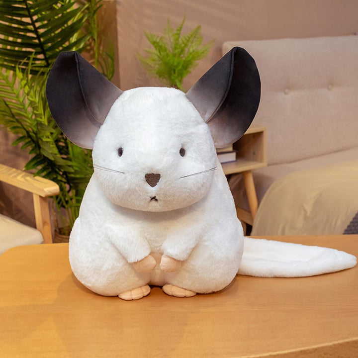 Kalsten | Whispering Chinchillas