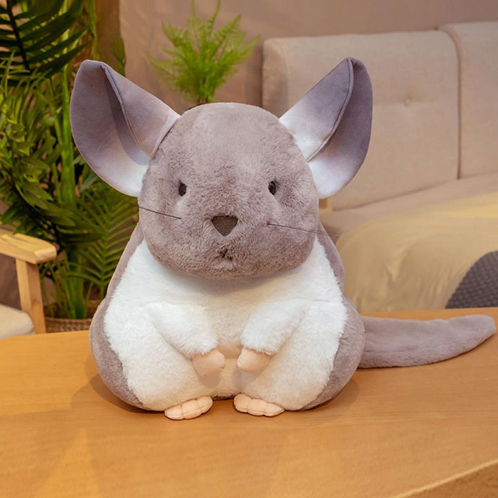 Kalsten | Whispering Chinchillas