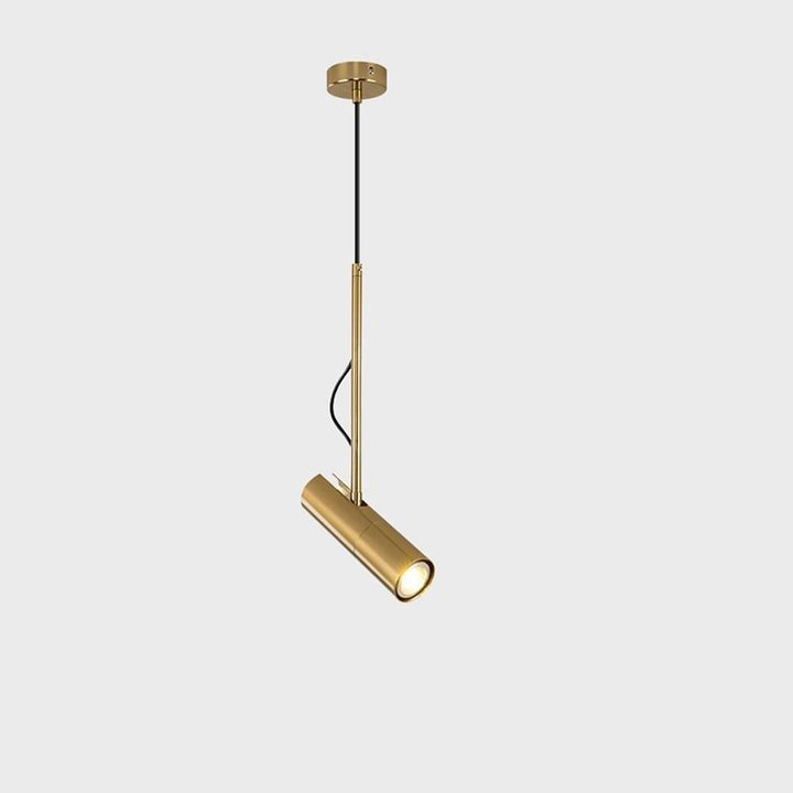 Spot Light Pendant Light Fixtures Nordic Metal LED Ceiling Light | Kalsten
