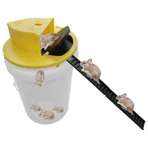 Reusable live trap for mice & rats | Kalsten