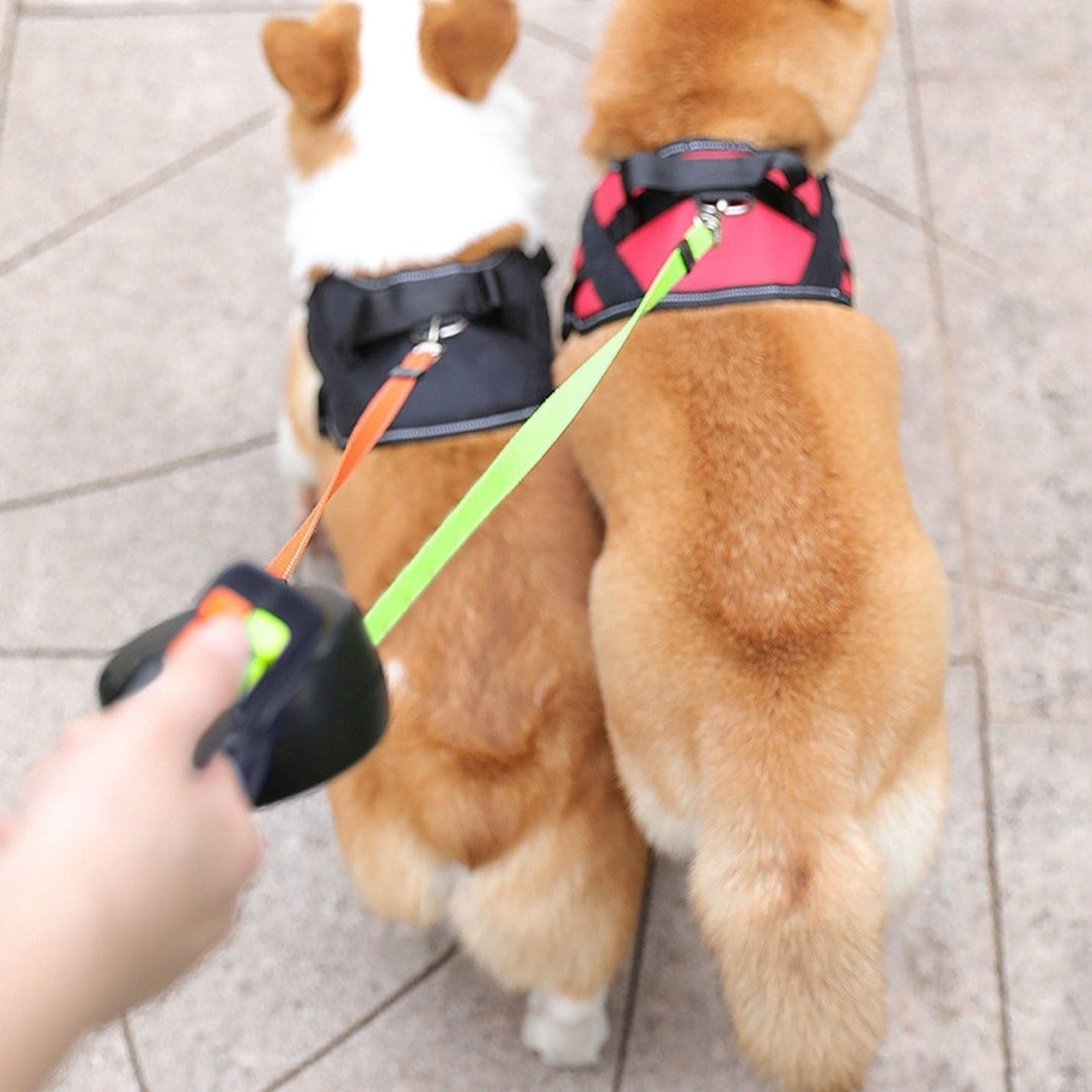 DuoLijn LED Dual Retractable Leash for Dogs and Cats with 360° Rotation Mechanism 3 Meters | Kalsten