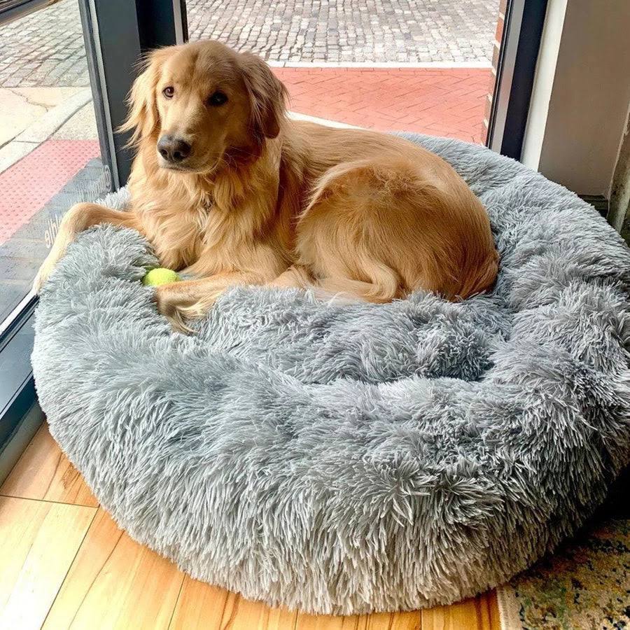 Orthopedic Plush Donut Dog Bed Kalsten