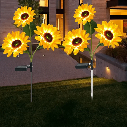 BowLift | Automatic lighting