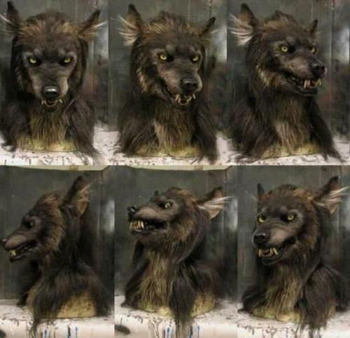 Kalsten | LUPINMASK – Realistic Werewolf Mask for Halloween & Cosplay