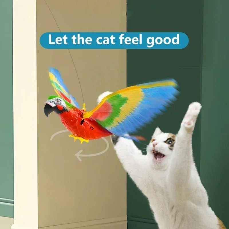 Eagle Flying Bird Cat Toy Kalsten