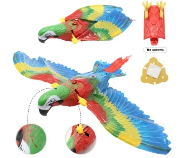 Eagle Flying Bird Cat Toy Kalsten