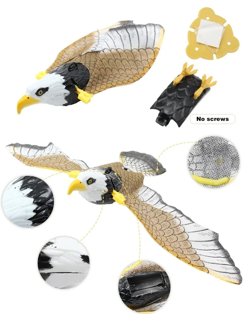 Eagle Flying Bird Cat Toy Kalsten