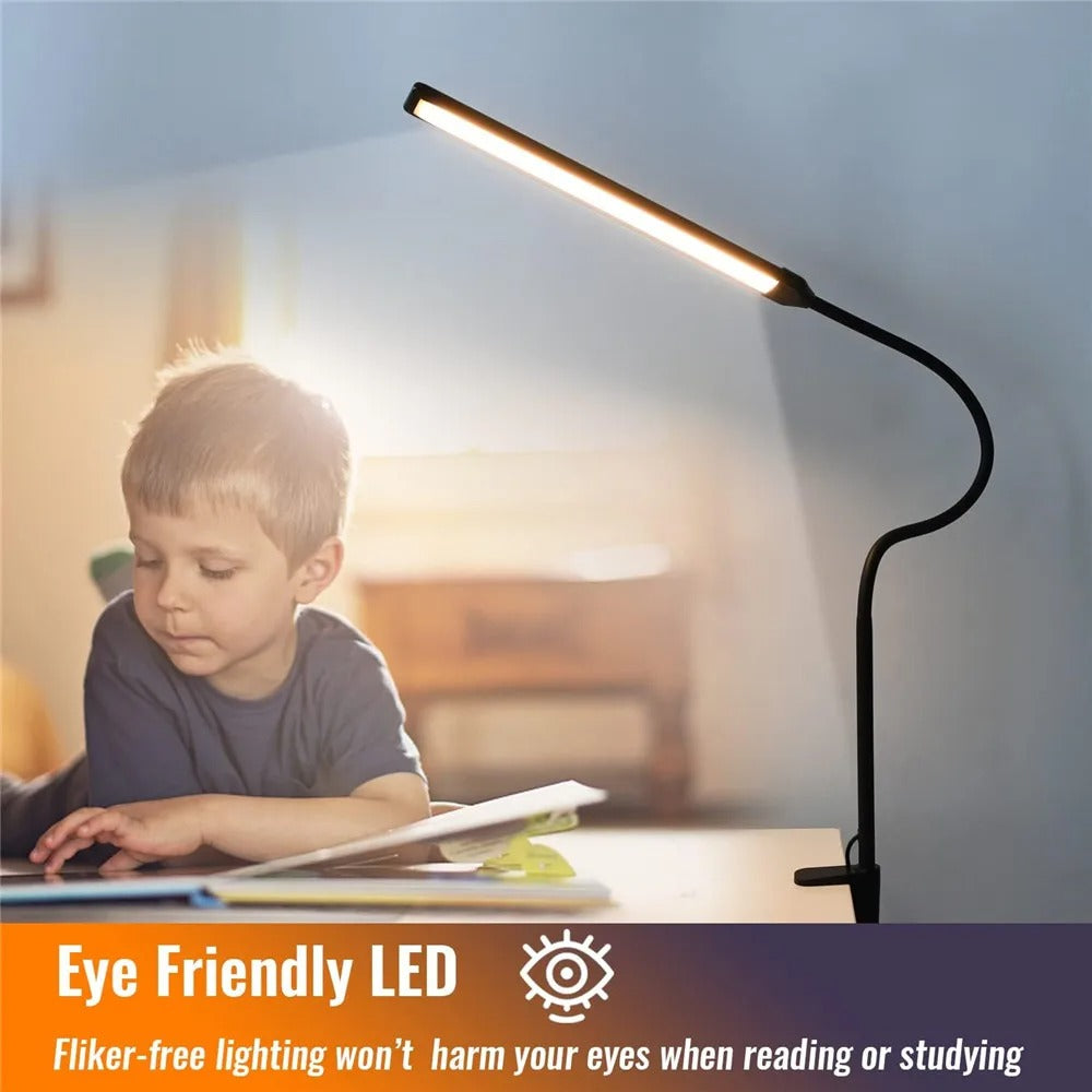 Double-Head LED Desk Lamp for Work & Study