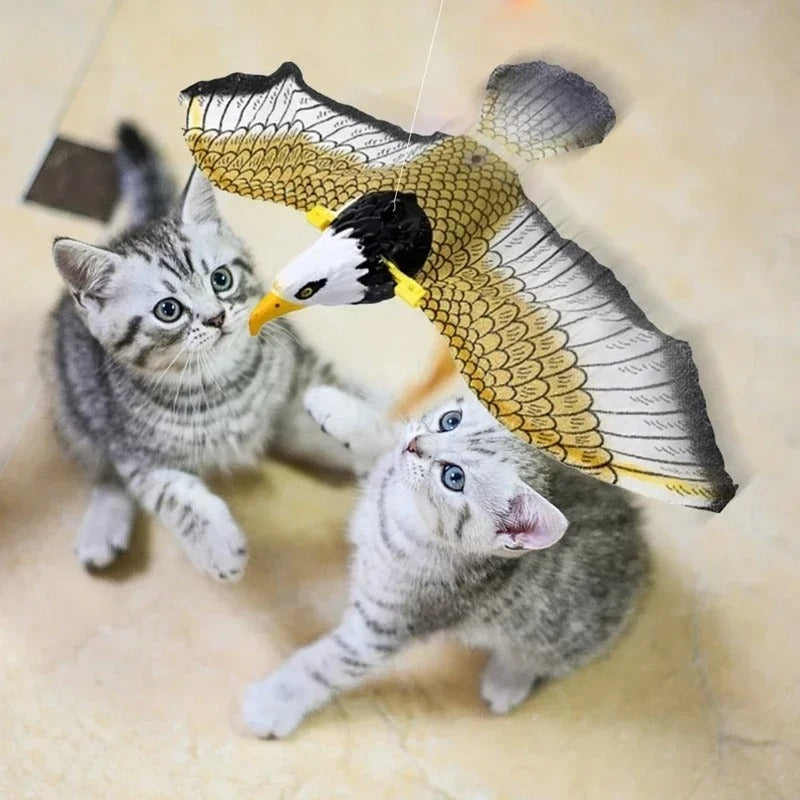Eagle Flying Bird Cat Toy Kalsten