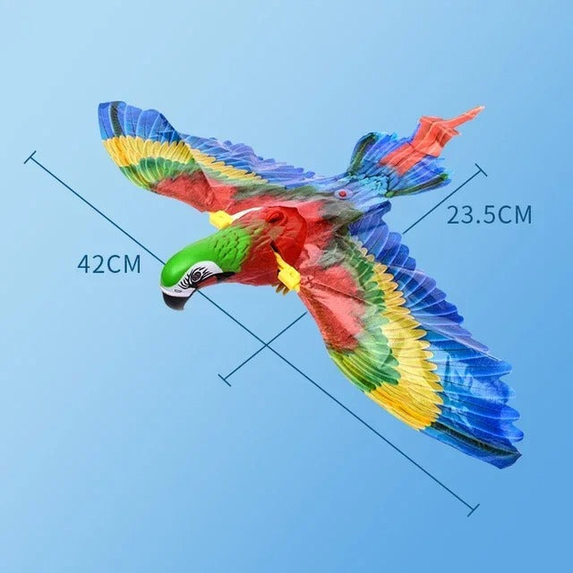 Eagle Flying Bird Cat Toy Kalsten