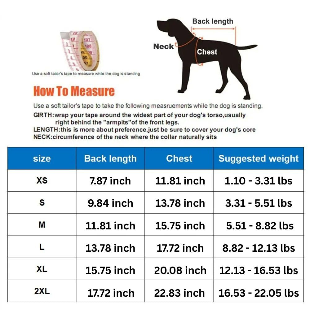 Kalsten | Adorable Bear-Themed Full Body Dog Raincoat with Reflective Safety Features