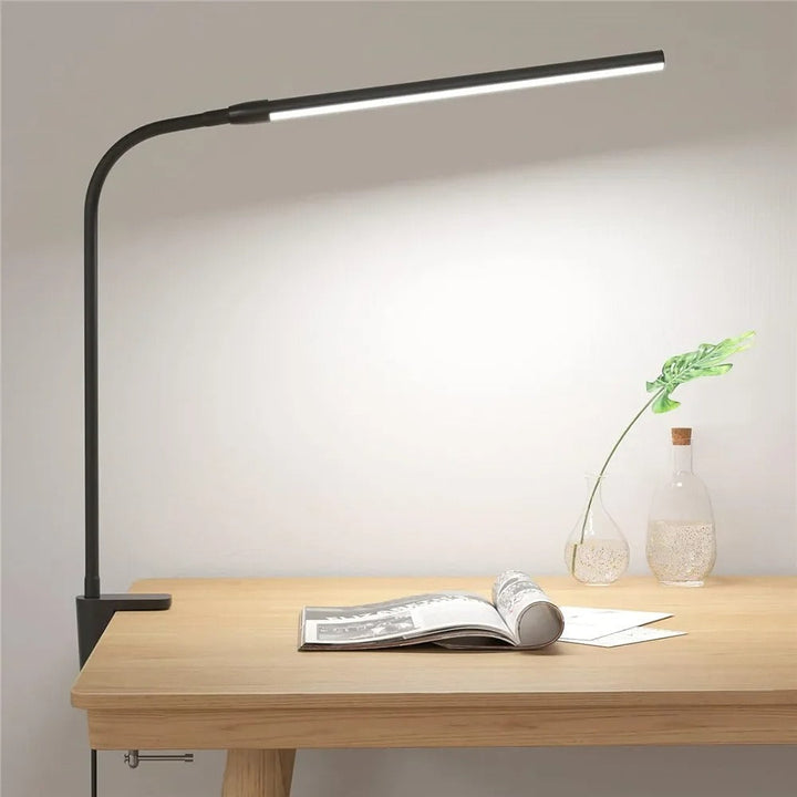 Double-Head LED Desk Lamp for Work & Study