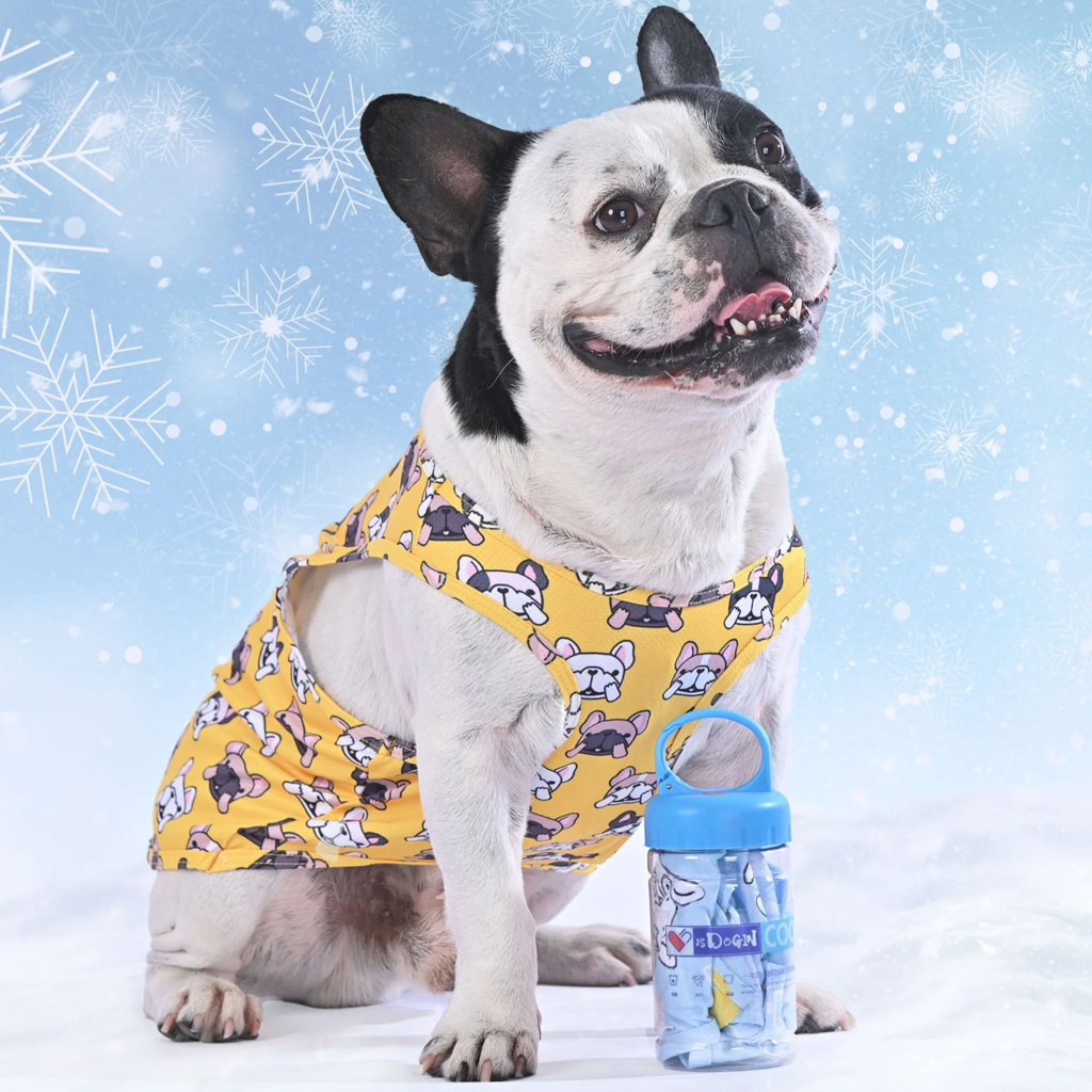 Coolify™: Summer Cooling Vest (CS17) | Kalsten