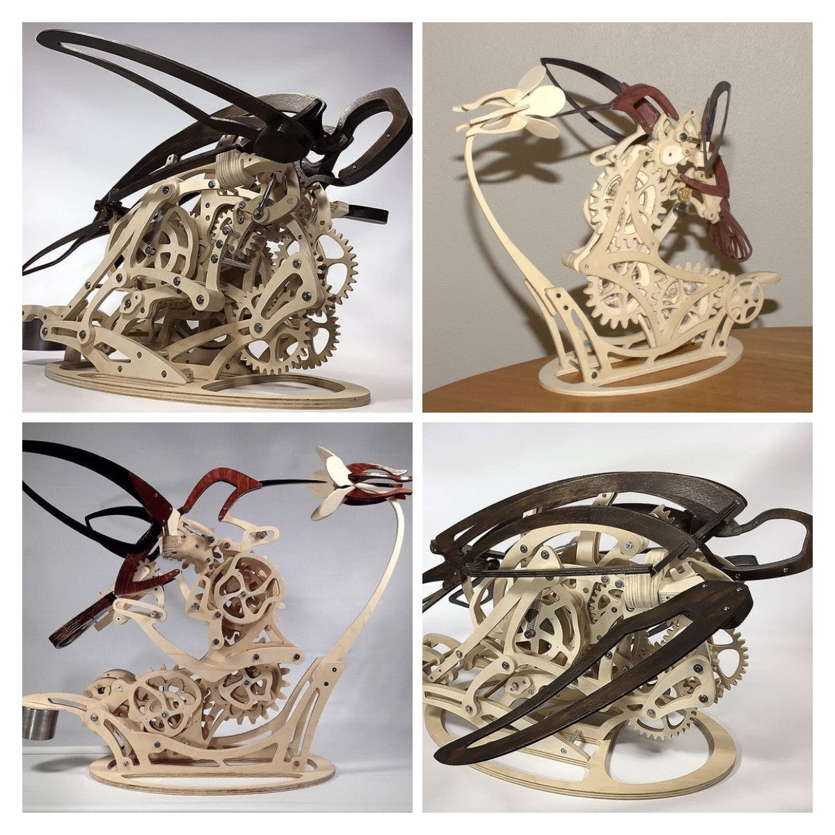 Skanto | 3D Wooden Mechanical Hummingbird and Wooden Mechanical Turtle