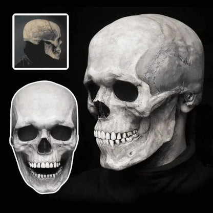 Movable Jaw, Realistic Full Head Skull Mask – Human Skeleton Mask for Halloween Parties