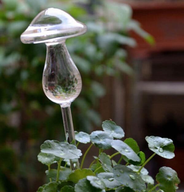 Kalsten | Self-Watering Plant Bulb