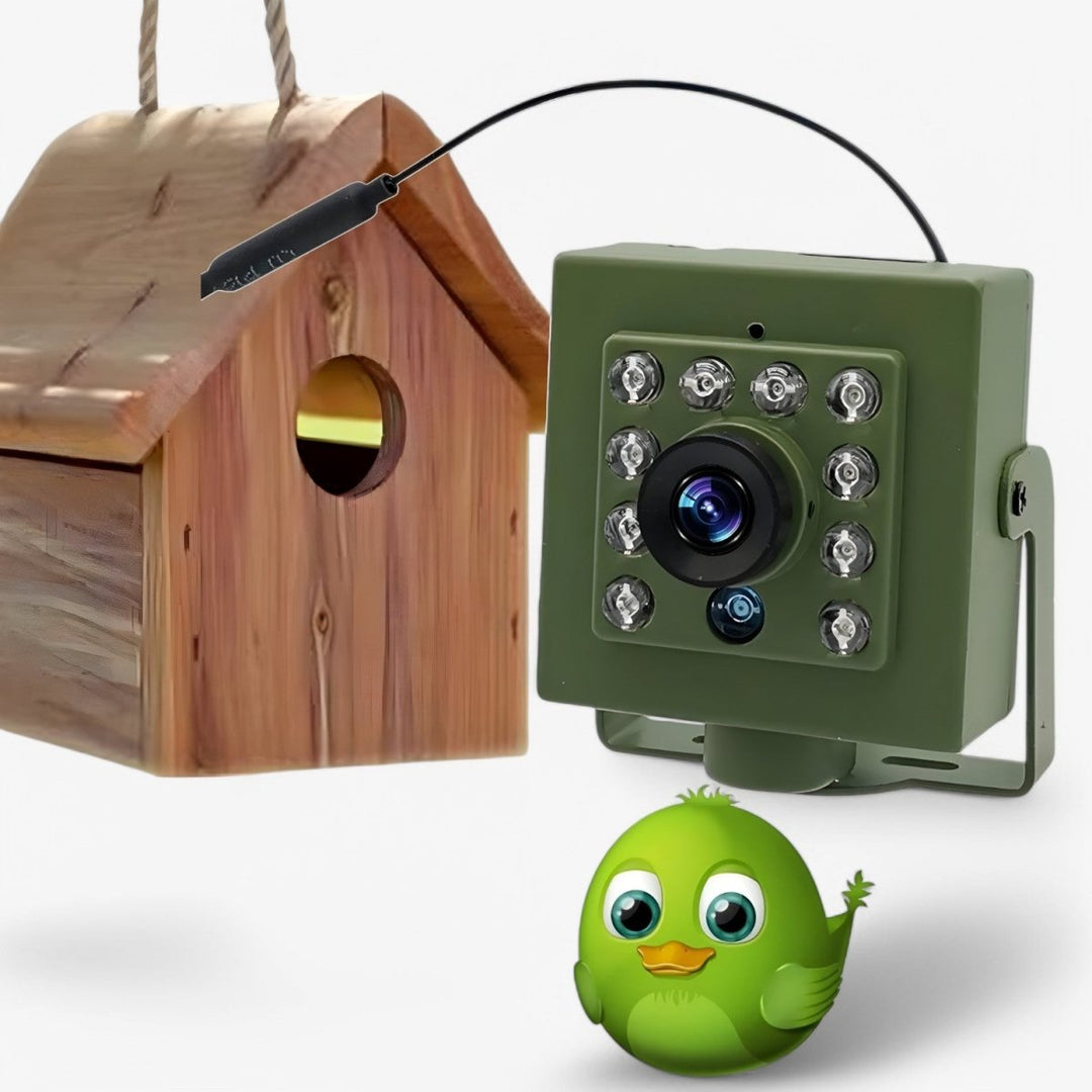 Kalsten | Nestcam WLAN Bird Nest Camera – 1080p HD Weatherproof Wildlife Camera with Night Vision, Motion Detection, and Remote Access