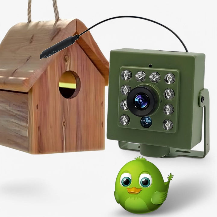 Kalsten | Nestcam WLAN Bird Nest Camera – 1080p HD Weatherproof Wildlife Camera with Night Vision, Motion Detection, and Remote Access