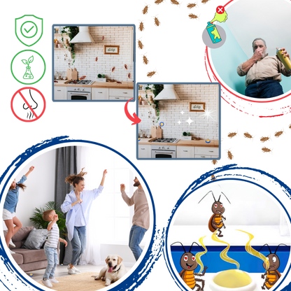 Odorless Cockroach Traps