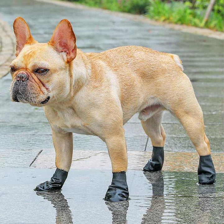 Kalsten | PootShield Waterproof Dog Shoes with Grip and Protective Comfort