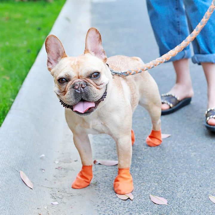Kalsten | PootShield Waterproof Dog Shoes with Grip and Protective Comfort