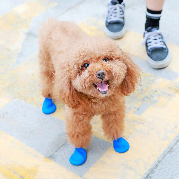 Kalsten | PootShield Waterproof Dog Shoes with Grip and Protective Comfort