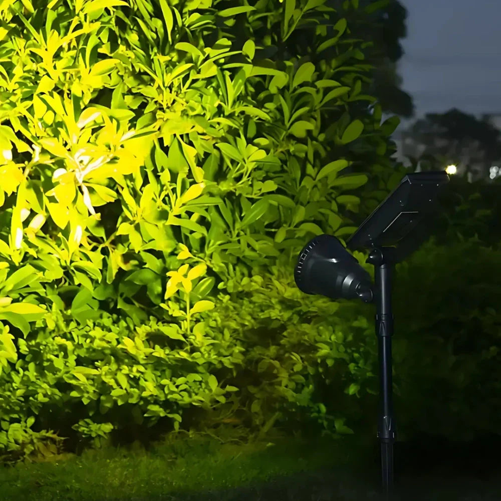 Solar Garden Light with Ground Stake Kalsten