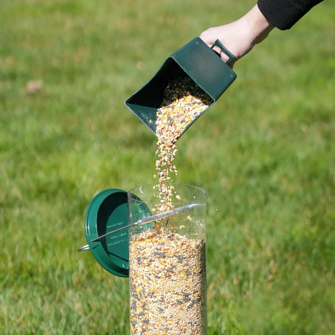 Kalsten | Bird Feeder | Squirrel-Proof Hanging Seed Feeder Outdoor