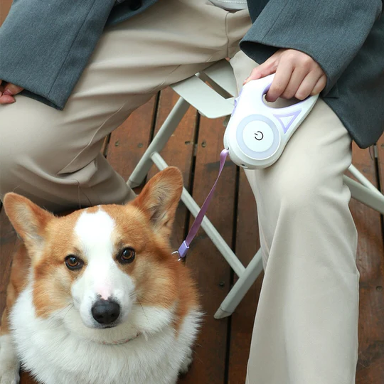 Kalsten | LED Light Retractable Dog Leash with Light