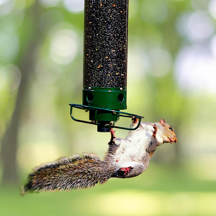 Kalsten | Metal Hanging Squirrel-Proof Bird Feeder for Gardens