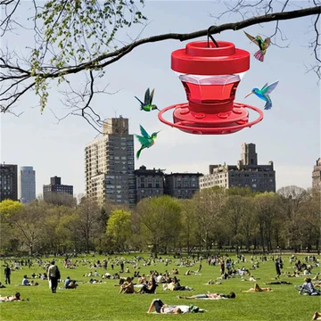 Kalsten | Bird Feeder with Hanging Ant-Proof Design