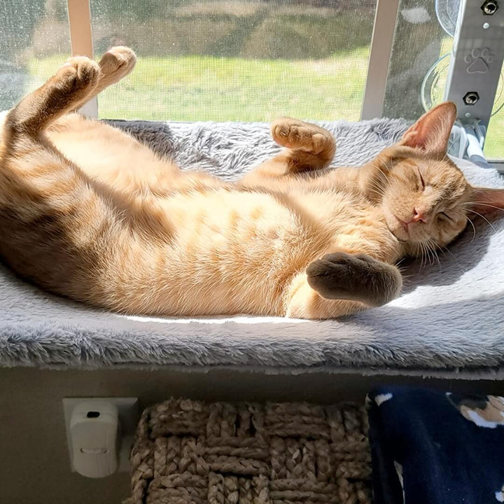 Kalsten | PAWPERCH – Foldable Cat Hammock with Wall-Friendly Mount | No-Drill Window Seat