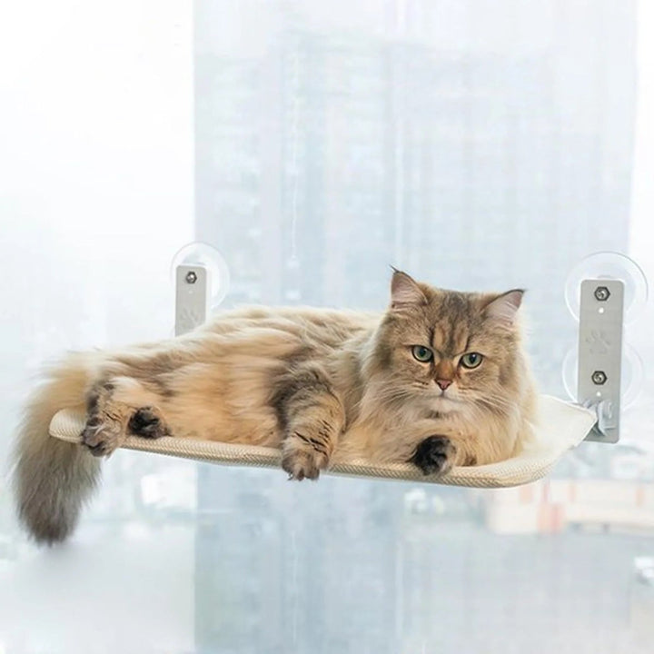 Kalsten | PAWPERCH – Foldable Cat Hammock with Wall-Friendly Mount | No-Drill Window Seat