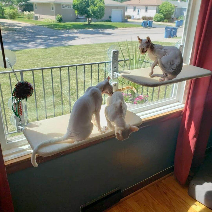 Kalsten | PAWPERCH – Foldable Cat Hammock with Wall-Friendly Mount | No-Drill Window Seat