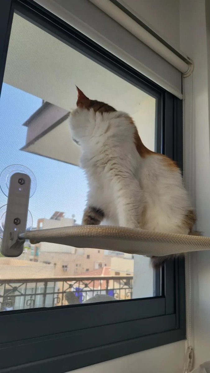 Kalsten | PAWPERCH – Foldable Cat Hammock with Wall-Friendly Mount | No-Drill Window Seat