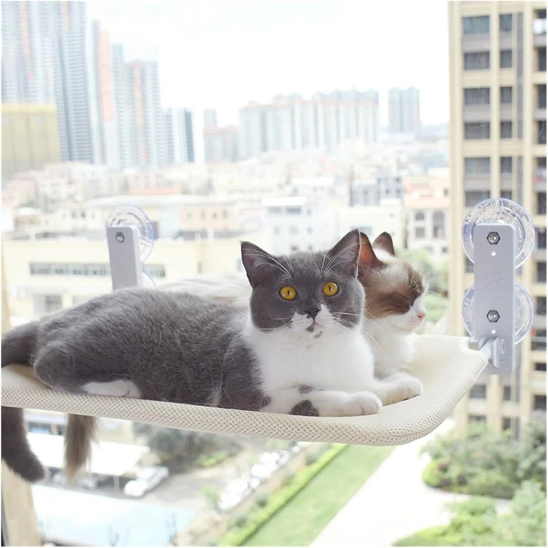 Kalsten | PAWPERCH – Foldable Cat Hammock with Wall-Friendly Mount | No-Drill Window Seat