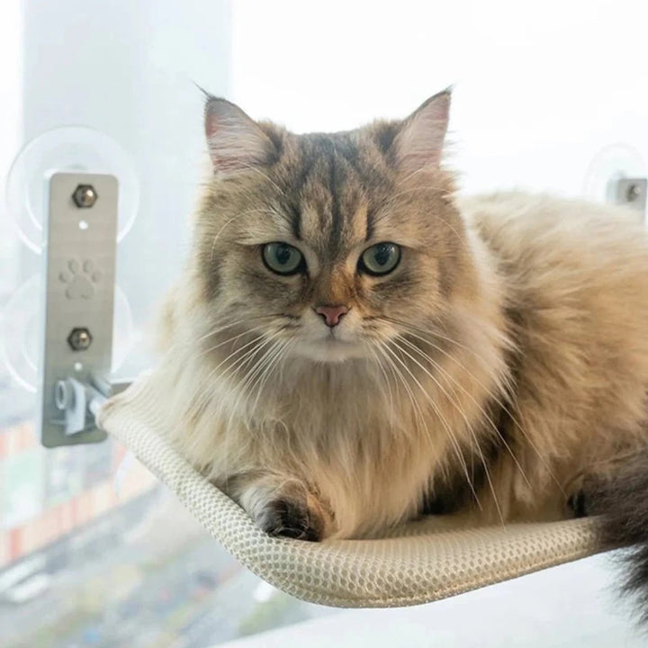 Kalsten | PAWPERCH – Foldable Cat Hammock with Wall-Friendly Mount | No-Drill Window Seat